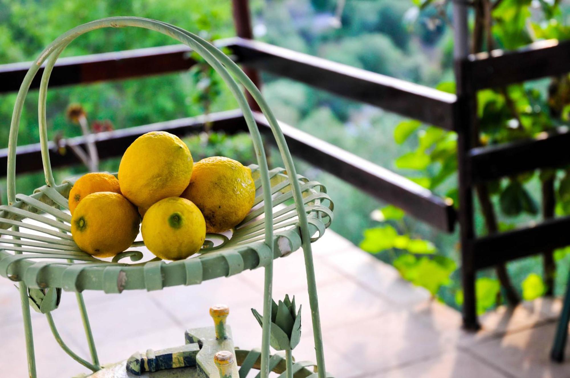 Bellavista Peljesac Peninsula Bed & Breakfast Dubrava  Ruang foto